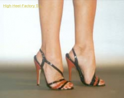 HHF-Casandra-bi 5.5